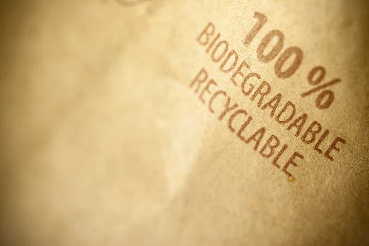 Bioplastics And Packaging All You Need To Know